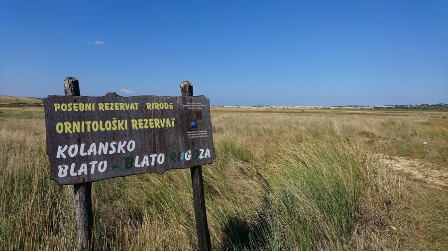 Kolansko Blato ornithological reserve on the island of Pag
