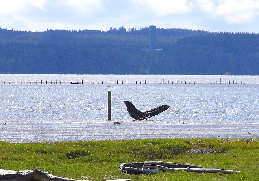 Grays Harbor seen from Hoquiam, Washington