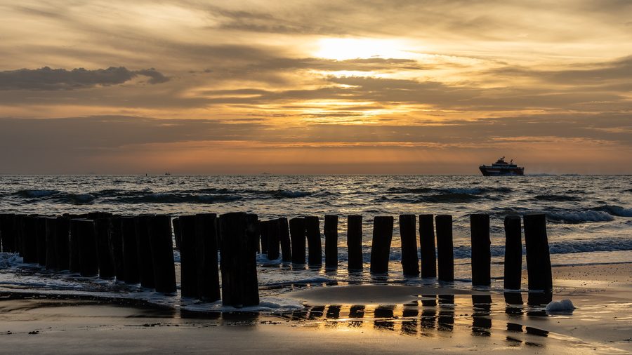 Strand mit Buhnen und Blick auf die Westerschelde in Zoutelande, Zeeland