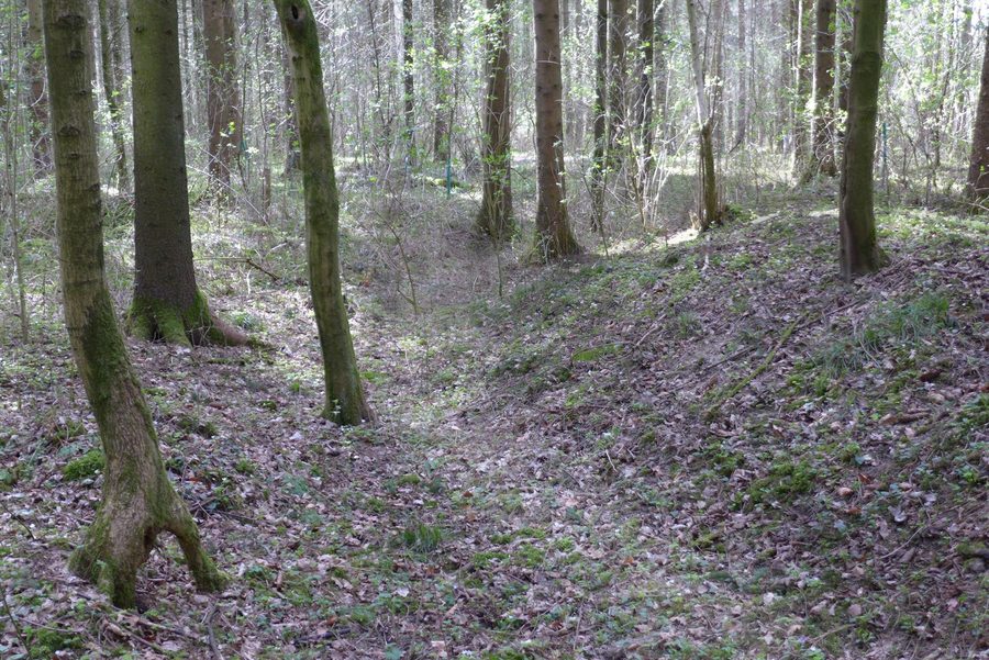 Landschaft am Vorwallbogen bei Wasenberg in Mitterkirchen im Machland