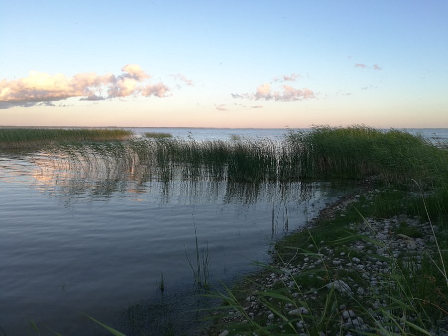 Blick von Vaibla auf den offenen Võrtsjärv