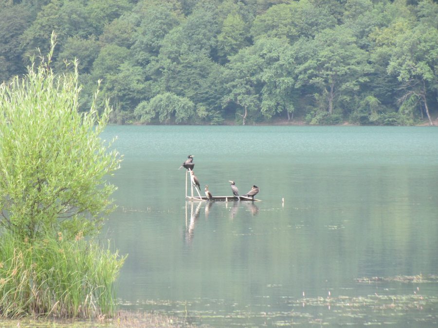 Nohur Lake in Gabala district, Azerbaijan.