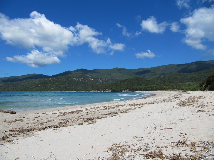 Cupabia Bay and sandy Mediterranean coastline in Corse-du-Sud