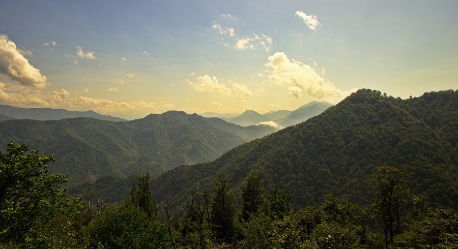Forest-covered mountains along the Chinkadze Mountain Trail in Adjara, Georgia