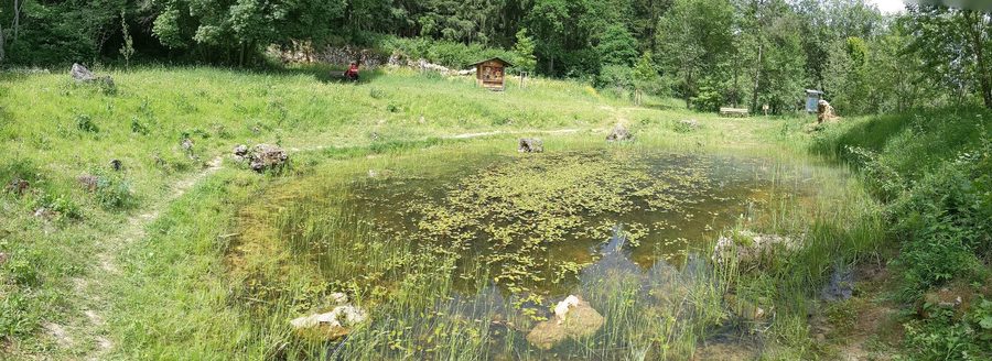 Panorama der Hüle am Hülenweg in Berghülen im Alb-Donau-Kreis