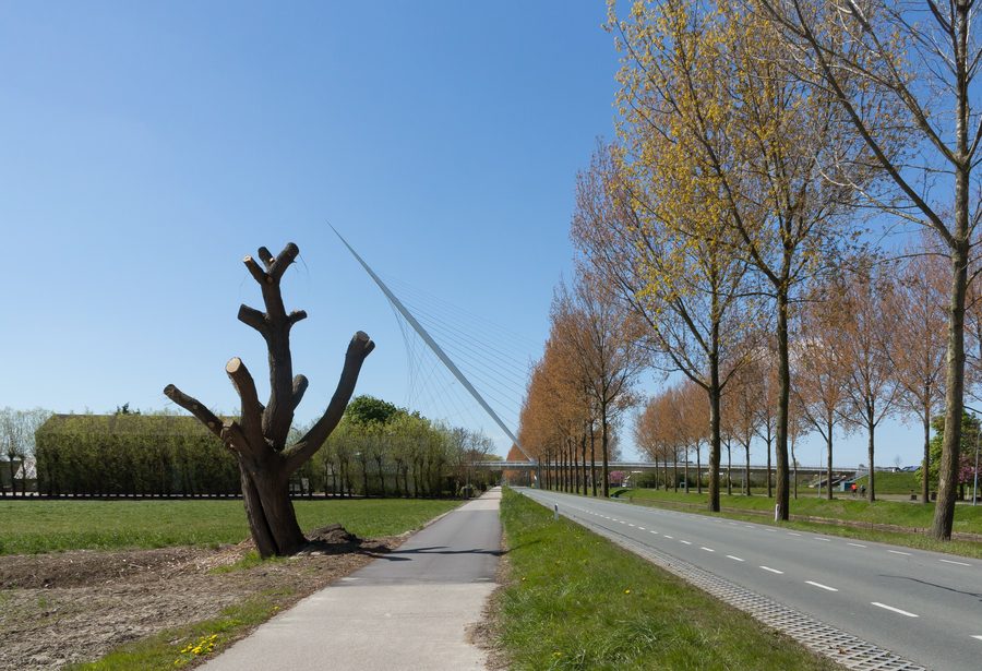 Calatrava-Brücke de Harp über die Hoofdvaart in Nieuw-Vennep