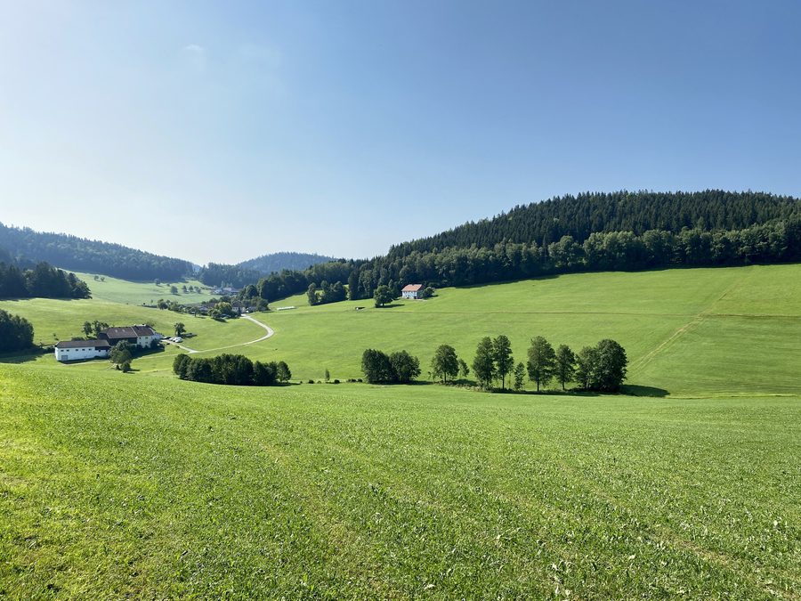 Blick ins Tal des Schwalsödter Bachs im hügeligen Mühlviertel