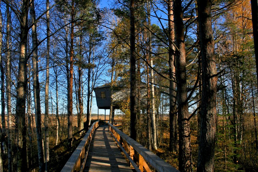 Großer Vogelbeobachtungsturm im Store-Mosse-Nationalpark