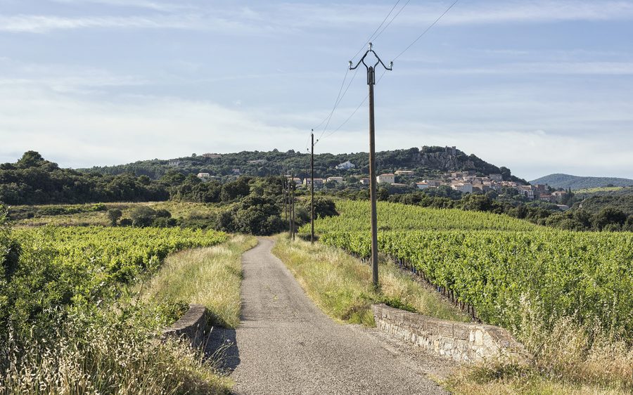 La D136E8 au milieu des vignes et le village de Roquessels dans l’Hérault