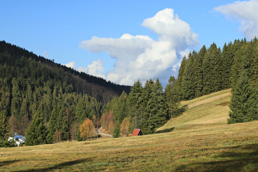 Blick vom Rastplatz am Kammweg in Wildenthal über die Landschaft des Erzgebirges
