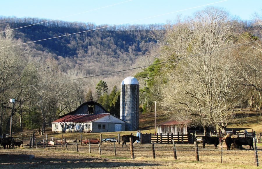 Valley View Farm in Harriman mit Walden Ridge im Hintergrund
