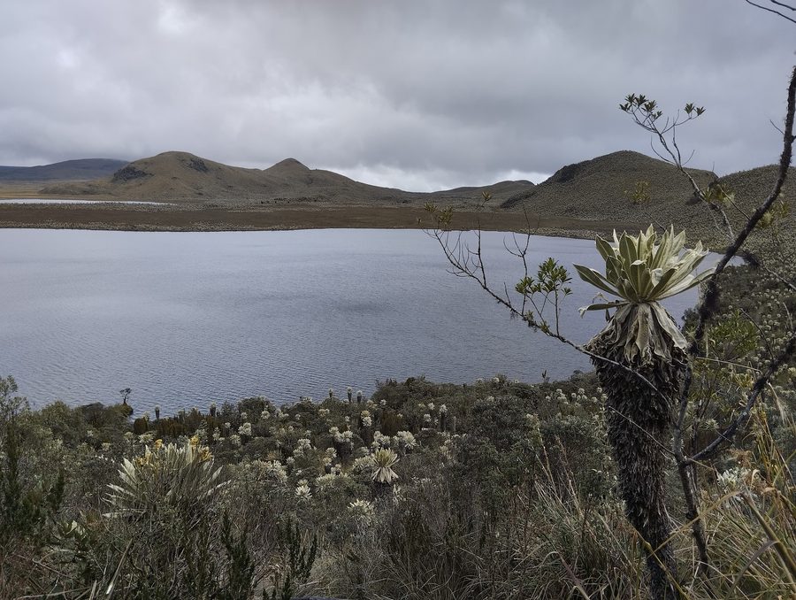 Lagunen von El Voladero im Naturschutzgebiet El Ángel in der Provinz Carchi, Ecuador