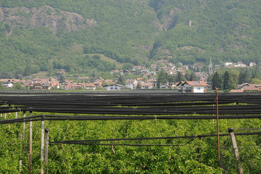 Gargazon vom Radweg an der Etsch gesehen
