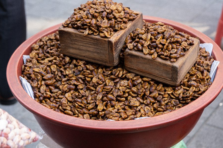 Getrocknete Seidenraupen als kambodschanisches Streetfood