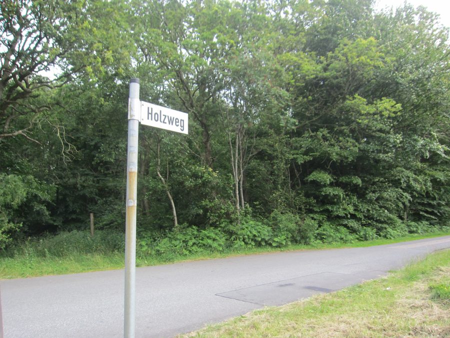 Ländlicher Weg am Holzweg in Oster-Ohrstedt