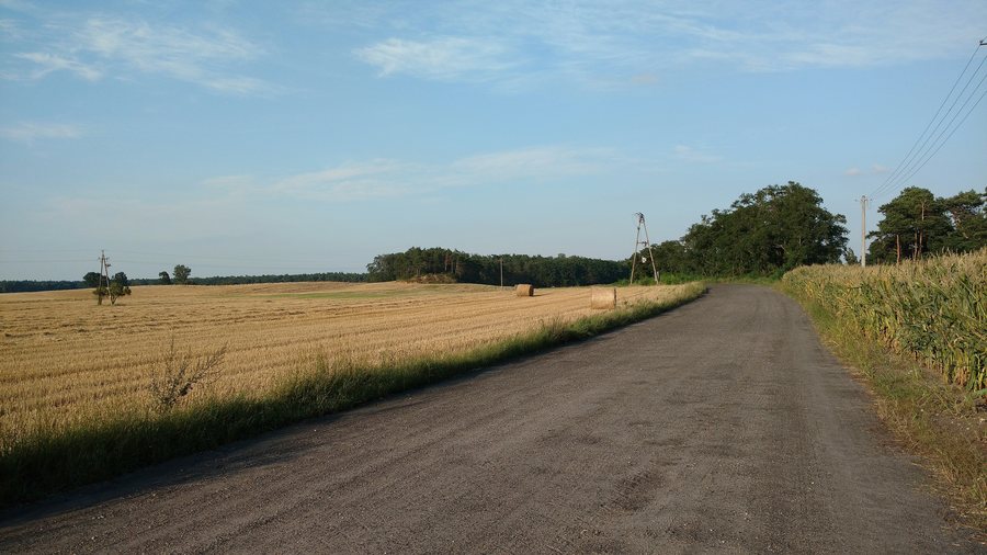 File:Gorzyce koło Wrześni.jpg