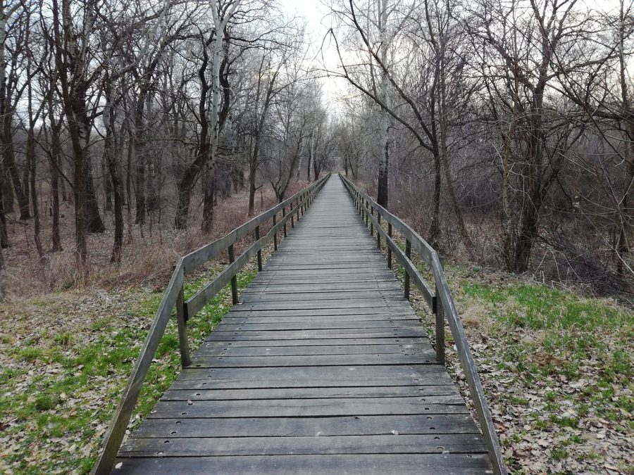 Wooden bridge in Adica park near Vukovar, Croatia