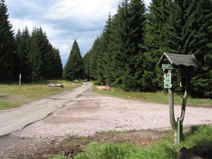 Radweg am Rennsteig im Thüringer Wald nahe Oberhof