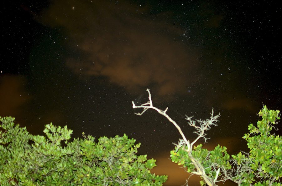 Mosquito Bay, eine biolumineszente Bucht auf Vieques