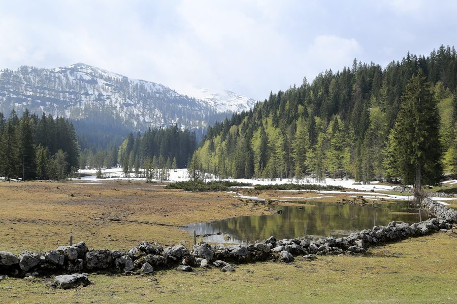 Landschaft auf der Hemmersuppenalm oberhalb von Reit im Winkl