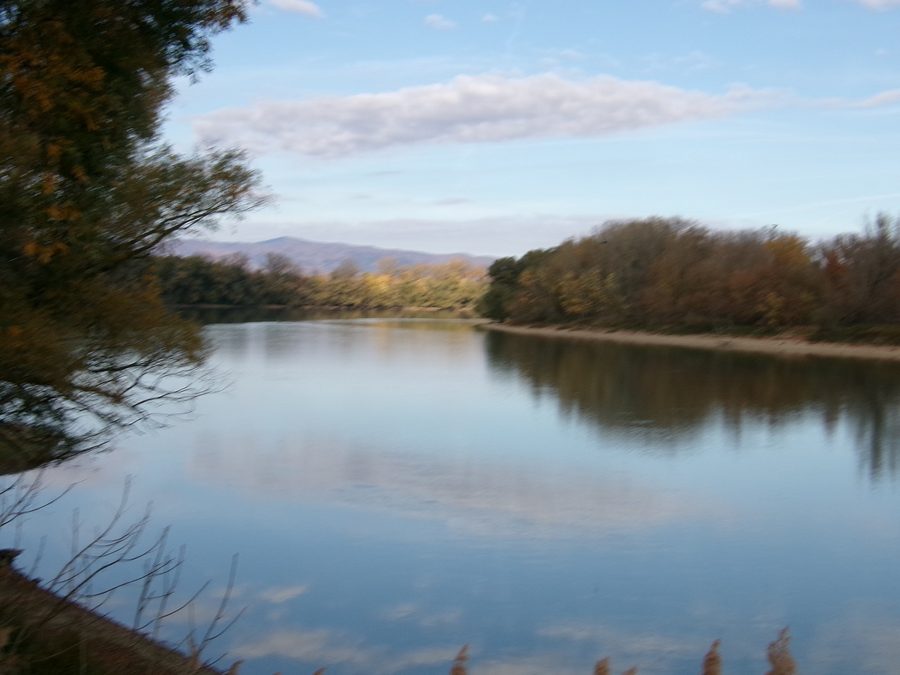 Blick auf die Donau an der Szentendrei-sziget bei Tahitótfalu