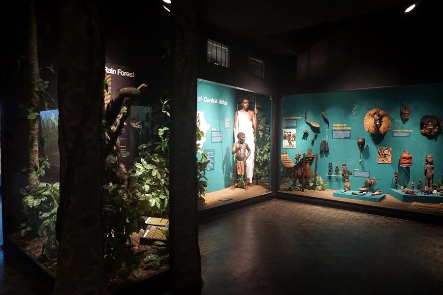 Ausstellungsvitrine im Milwaukee Public Museum mit einem Bereich zu Zentralafrika.