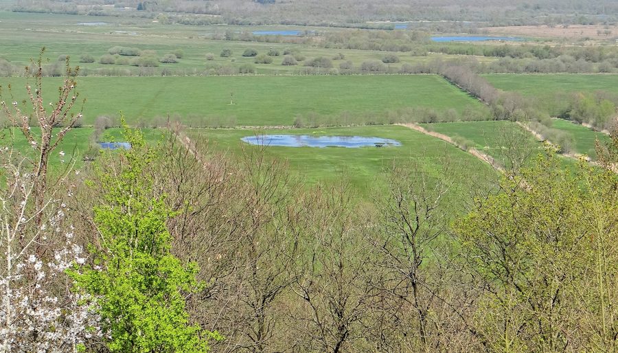 Blick über das Feuchtgebiet Marais Vernier in der Normandie