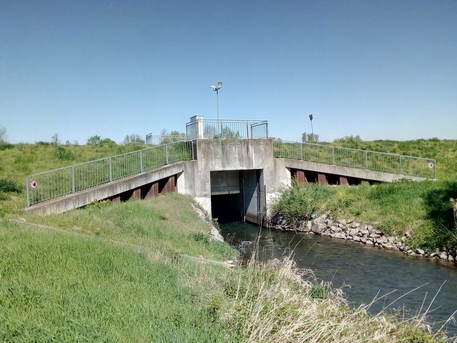 Rheinniederungskanal am Auslass des Polders Söllingen-Greffern bei Hügelsheim