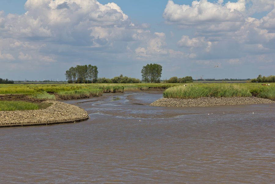 File:Überfahrt mit der Elbfähre Wischhafen-Glückstadt-3420.jpg