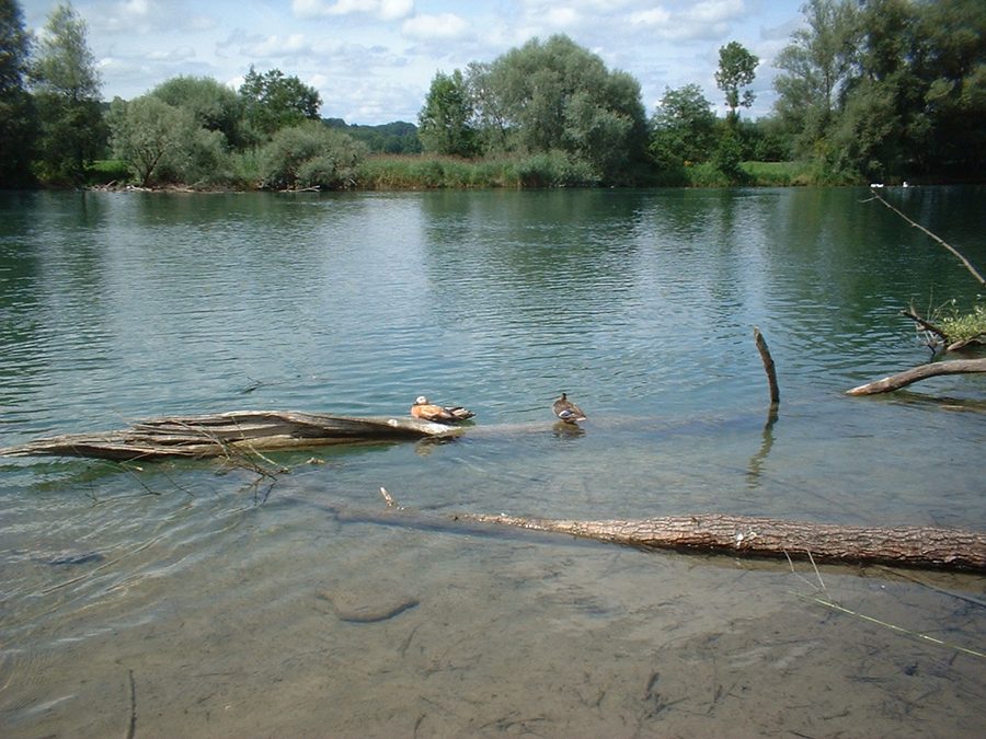 Flachsee im Kanton Aargau