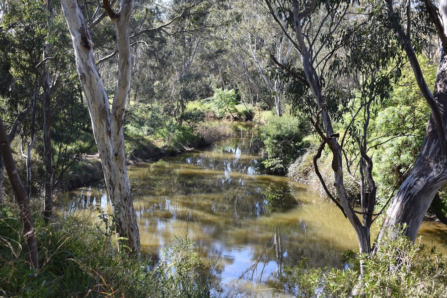 Maribyrnong River nahe Keilor in Victoria