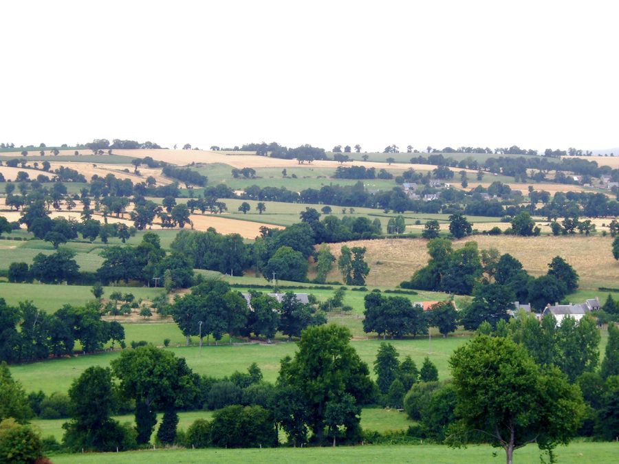 Idyllic rural bocage scenery in lower Normandy