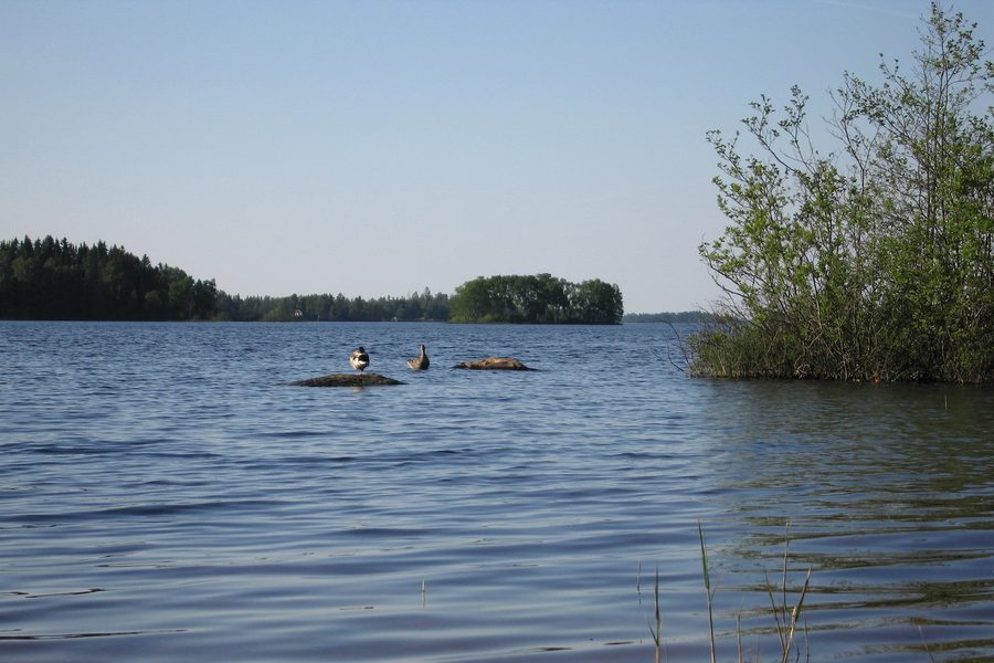 See Möckeln bei Älmhult in Småland