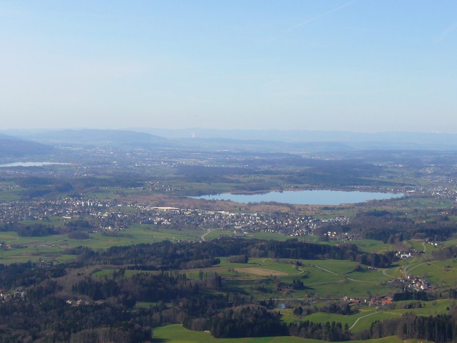 Pfäffikersee mit natürlicher Uferlandschaft im Kanton Zürich