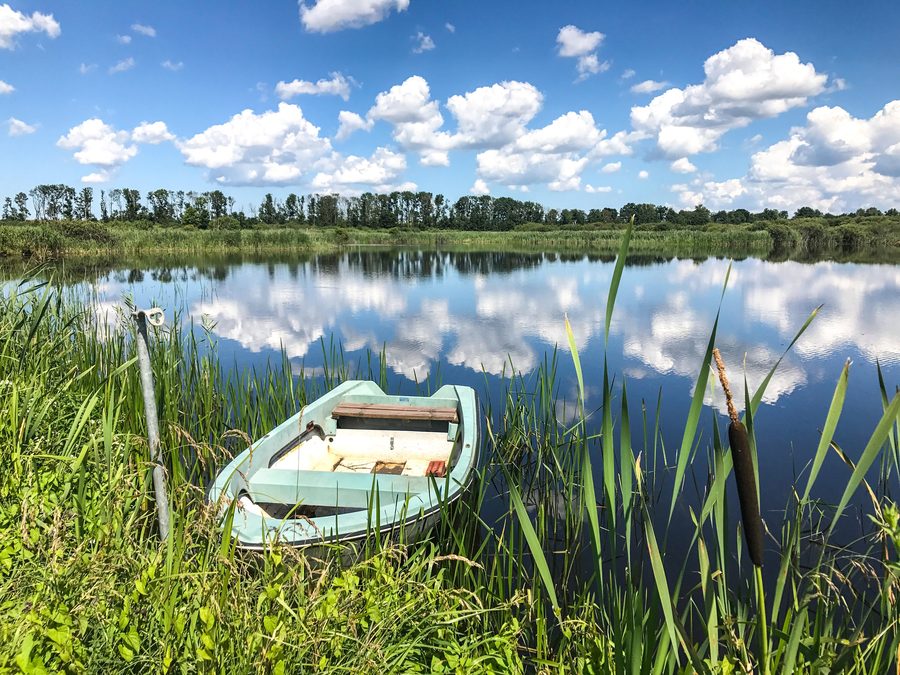 Grenztalmoor bei Tribsees in Mecklenburg-Vorpommern