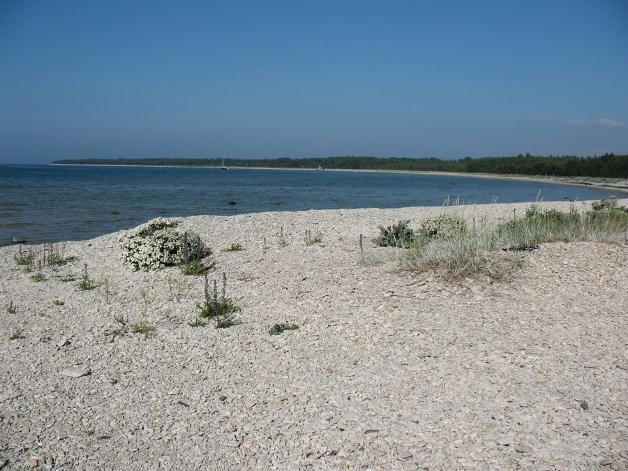 Küstenlandschaft an der Bucht von Alliklepa