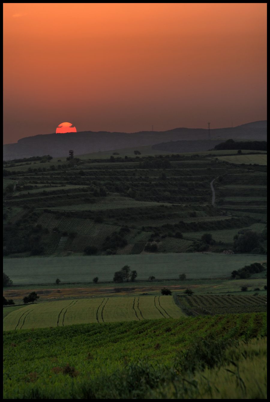 Weinberge und landwirtschaftliche Flächen in Südmähren bei Sonnenuntergang