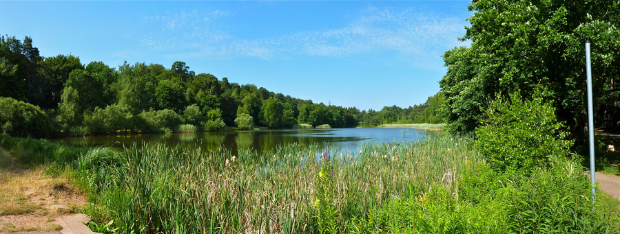 Panorama des Vogelwoogs bei Kaiserslautern