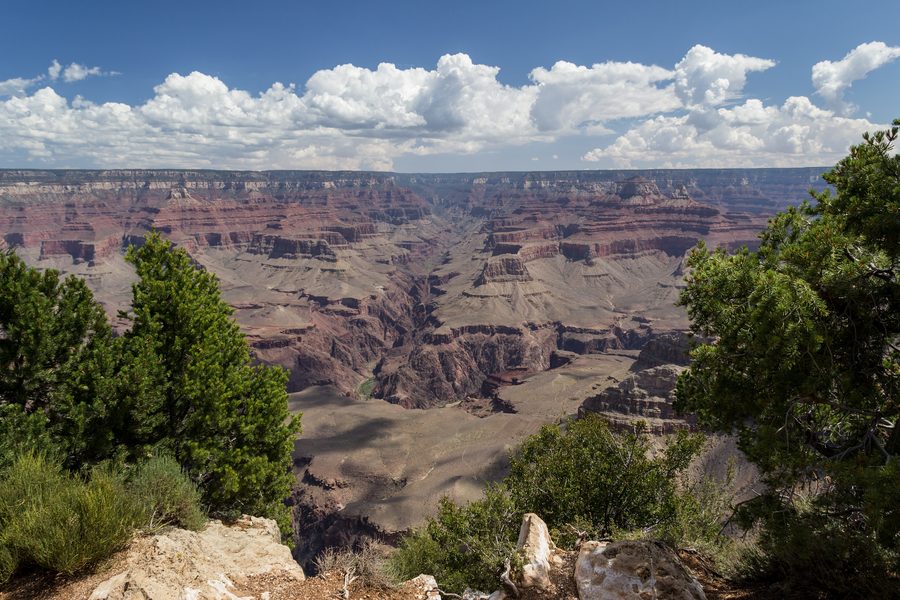 Blick auf den Grand Canyon am South Rim in Arizona