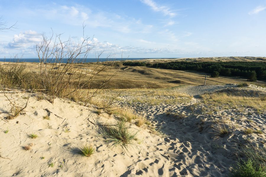 Dünenlandschaft der Kurischen Nehrung an der Ostseeküste Litauens