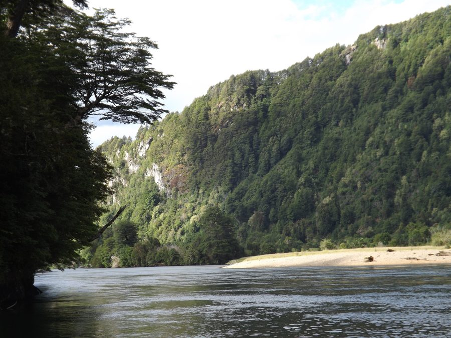 Der Río Blanco bei Puerto Aysén in Chile