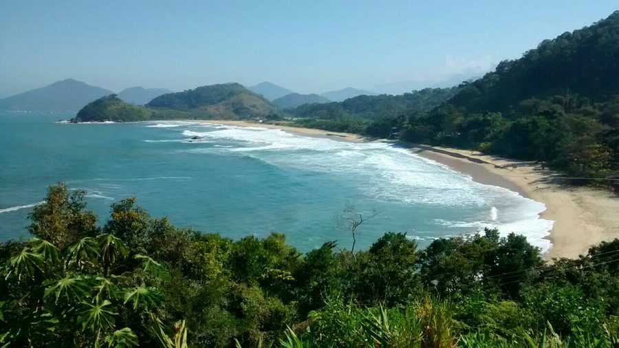 Blick auf die Praia Vermelha do Norte in Ubatuba, umgeben von Atlantischem Regenwald