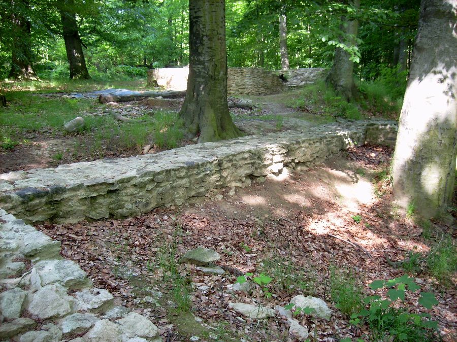 Burgruine am Kirchenteich bei Nennewitz im Wermsdorfer Wald