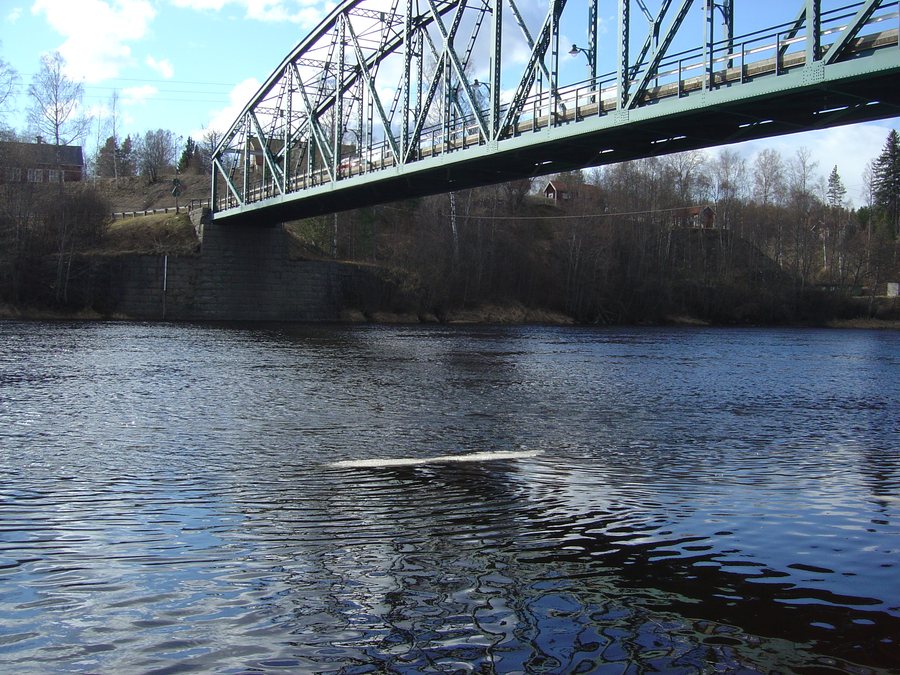File:Den sista isen, Klarälven Munkfors kommun i Värmland.jpg