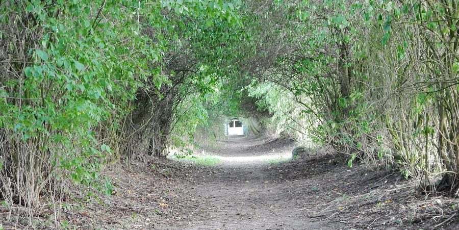 Wanderweg beim Schloss Warnsdorf am Hemmelsdorfer See
