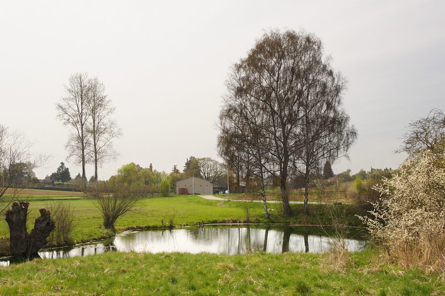 Karst spring of the river Nau at the western border of Langenau in the Swabian Alb