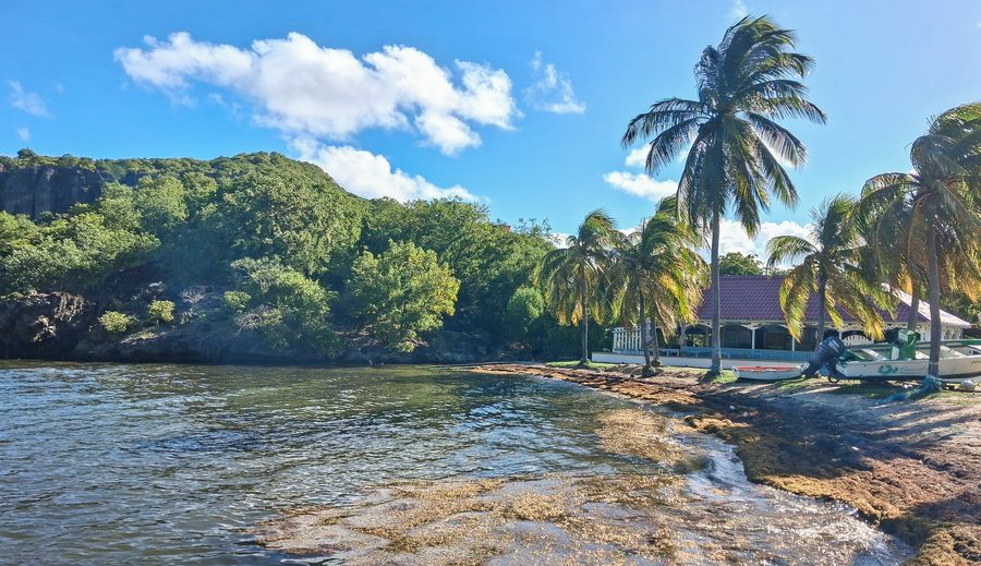 Blick auf den Strand von Marigot auf Terre-de-Haut in Guadeloupe