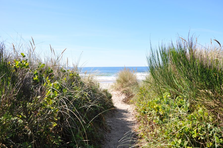 Zugang zum Manhattan Beach State Recreation Site an der Pazifikküste von Oregon