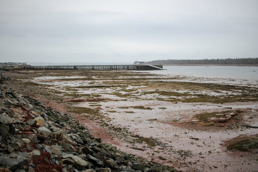 Hafen von Saint Andrews in New Brunswick bei Ebbe