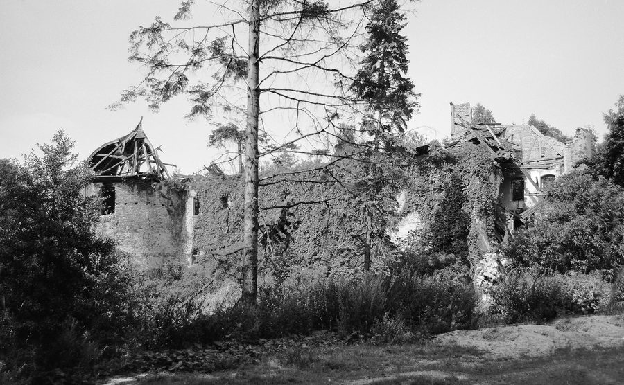 Historische Schlossruine Mechelgrün, ursprünglich eine mittelalterliche Wasserburg